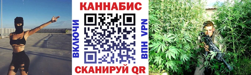 Канабис Bruce Banner  где найти наркотики  Кологрив 